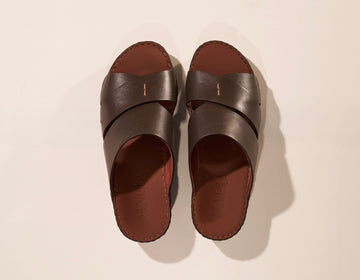 Palm Brown